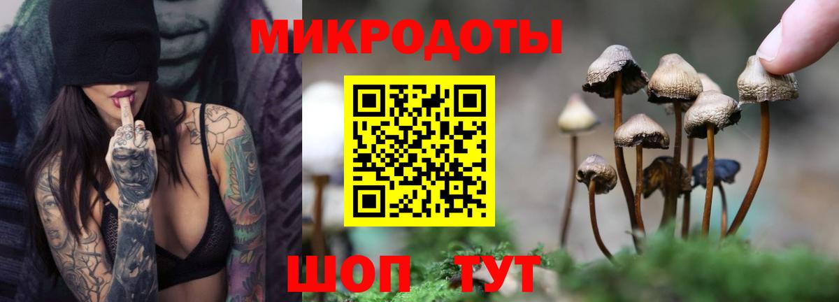 Псилоцибиновые грибы прущие грибы  Галлюциногенные грибы Psilocybe  Ишим  Вход с VPN 